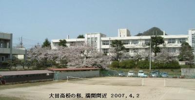 大田高校の桜